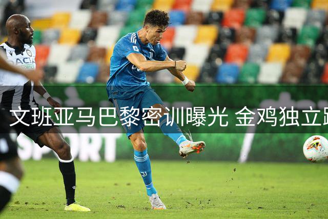 文班亚马巴黎密训曝光 金鸡独立跳投致敬诺维茨基